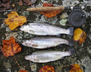 three fish laying on the ground next to fishing pole