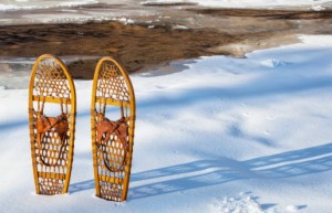 snowshoes sticking up from the snow